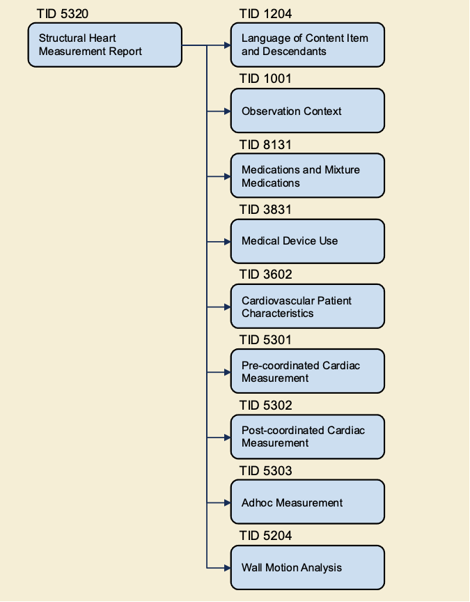 Structural Heart Procedure Template Structure